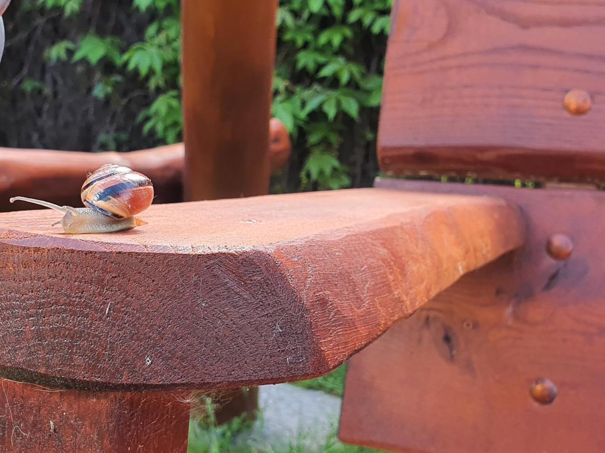 Pokoje U Gosi Węgorzewo Exterior foto
